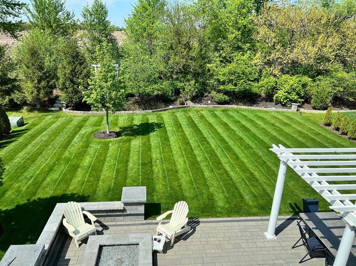 BLUE ENVY™ Elite Kentucky Bluegrass Blend - Image 9