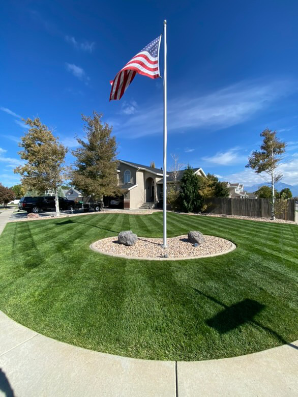 BLUE ENVY™ Elite Kentucky Bluegrass Blend - Image 4