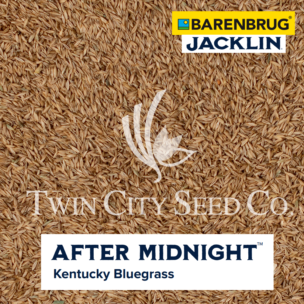AFTER MIDNIGHT Kentucky Bluegrass