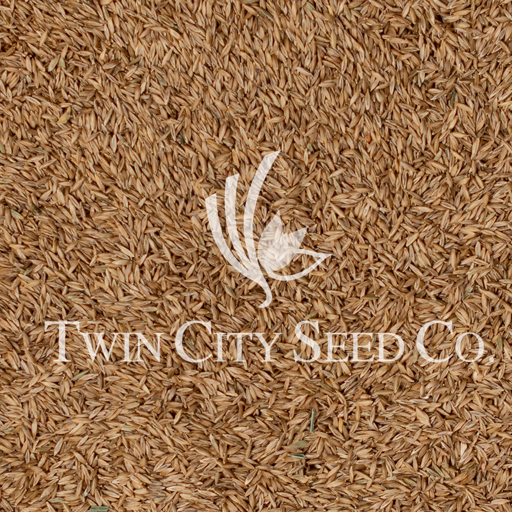 TOTAL ECLIPSE™ Shade Tolerant Kentucky Bluegrass Blend - Image 11