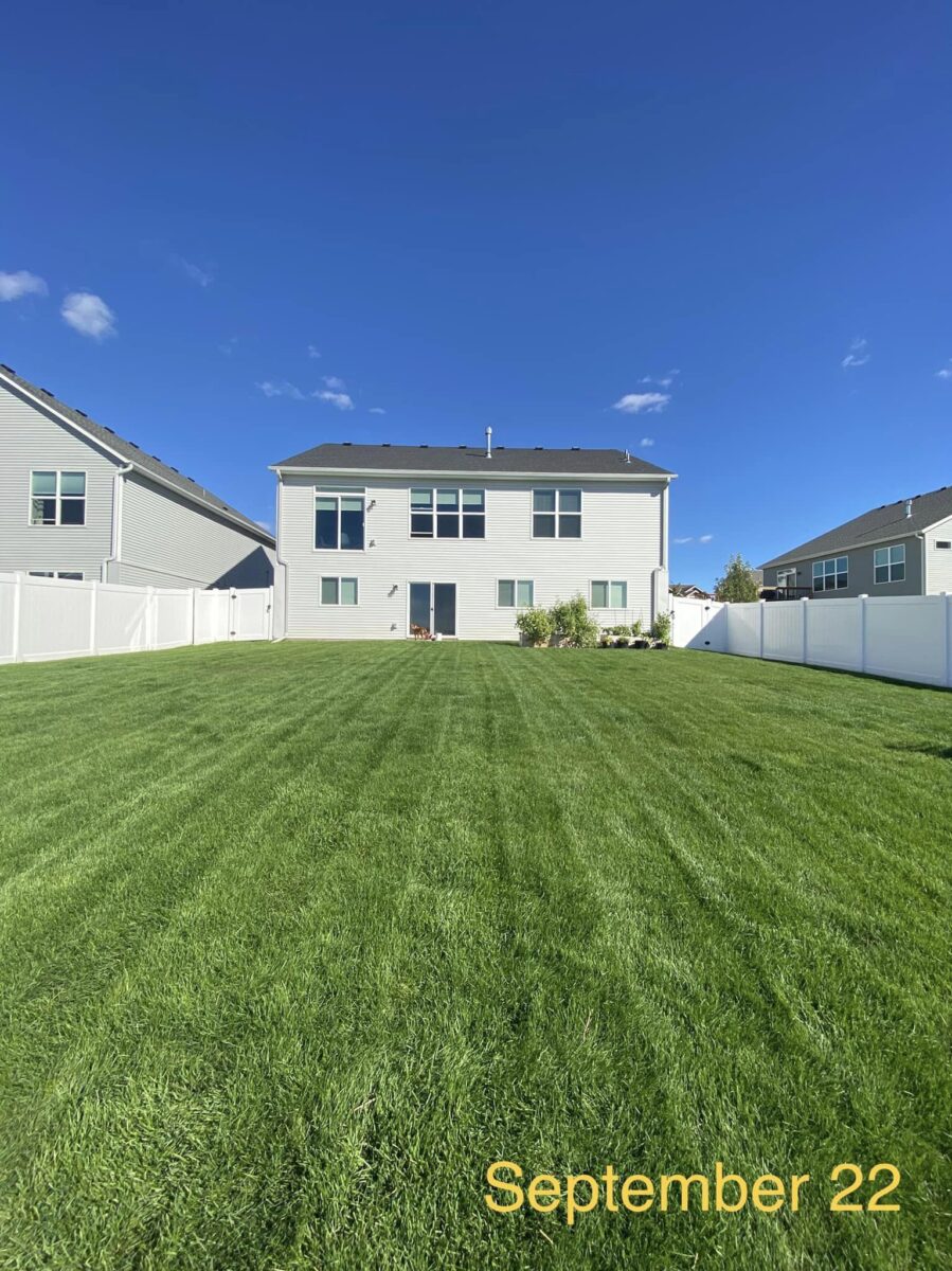 Sunny Lawn Seed Mixture - Image 5