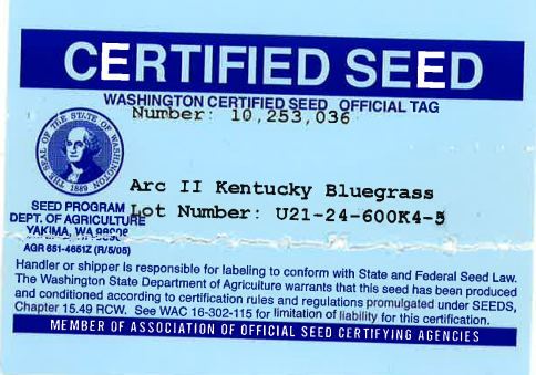 ARC II Kentucky Bluegrass - Image 2
