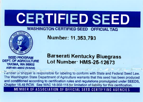 BARSERATI Kentucky Bluegrass - Image 2