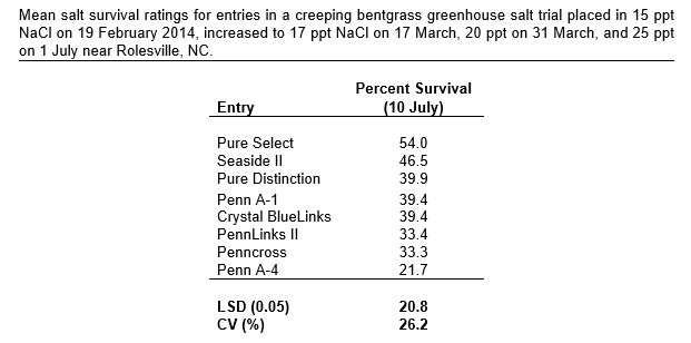 Pure Select Creeping Bentgrass - Image 2