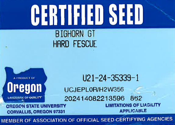 BIGHORN GT Hard Fescue - Image 3