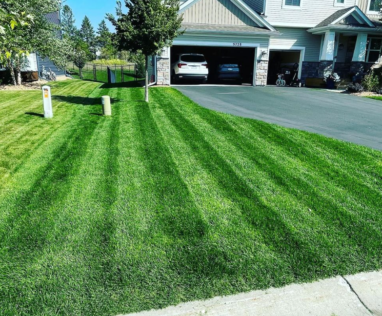 BLUE ENVY™ Elite Kentucky Bluegrass Blend - Image 10