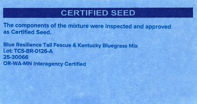 BLUE RESILIENCE Tall Fescue & Kentucky Bluegrass Mixture - Image 4