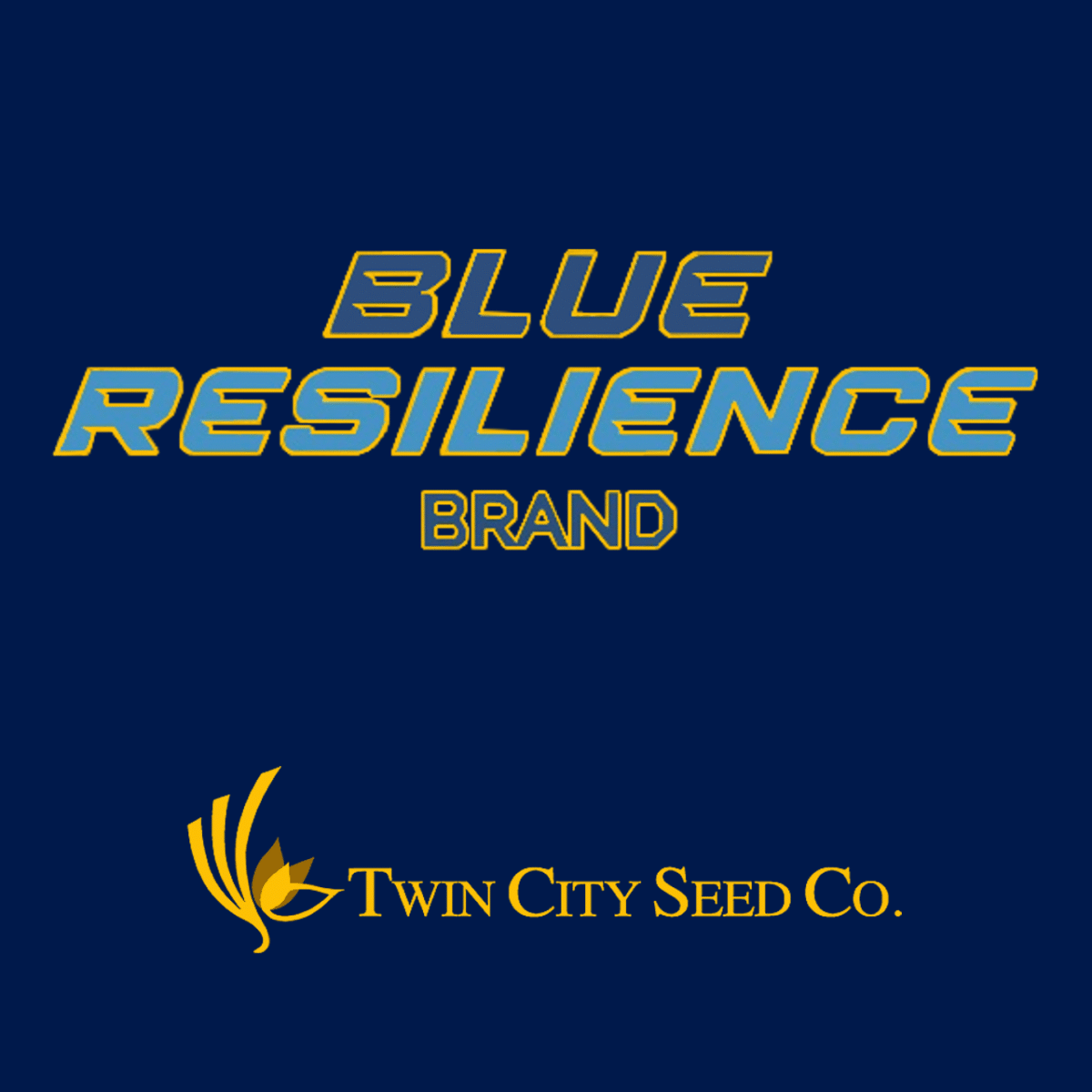 BLUE RESILIENCE Tall Fescue & Kentucky Bluegrass Mixture