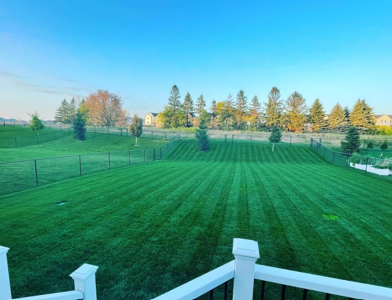 BLUE ENVY™ Elite Kentucky Bluegrass Blend - Image 11