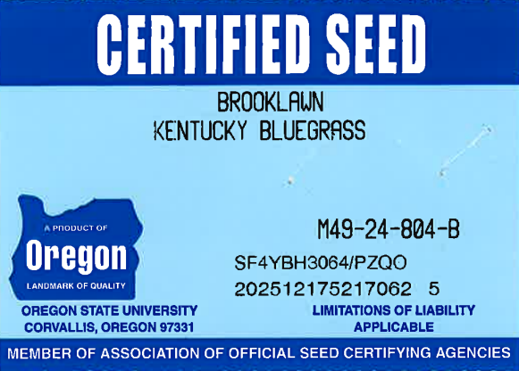 BROOKLAWN Kentucky Bluegrass - Image 2