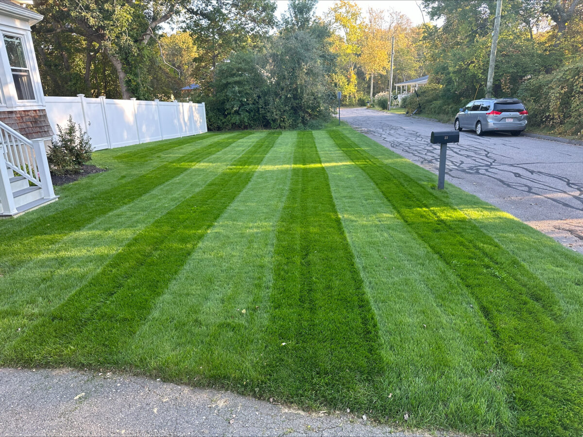 FIELDER'S CHOICE™ Elite Perennial Ryegrass Blend - Image 10