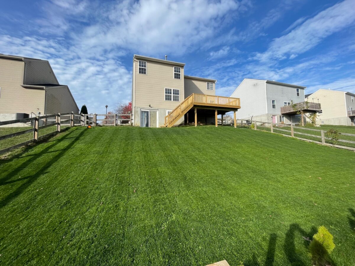 TOTAL ECLIPSE™ Shade Tolerant Kentucky Bluegrass Blend - Image 9