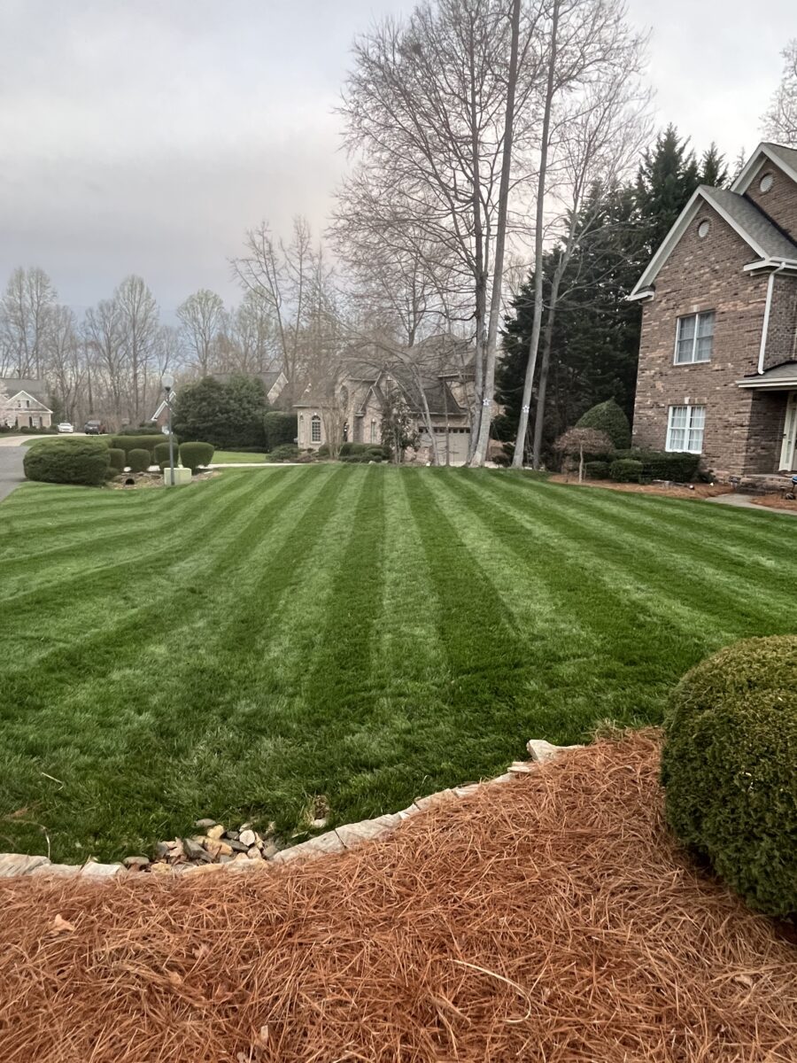 RESILIENCE™ II Turf Type Tall Fescue Blend - Image 8