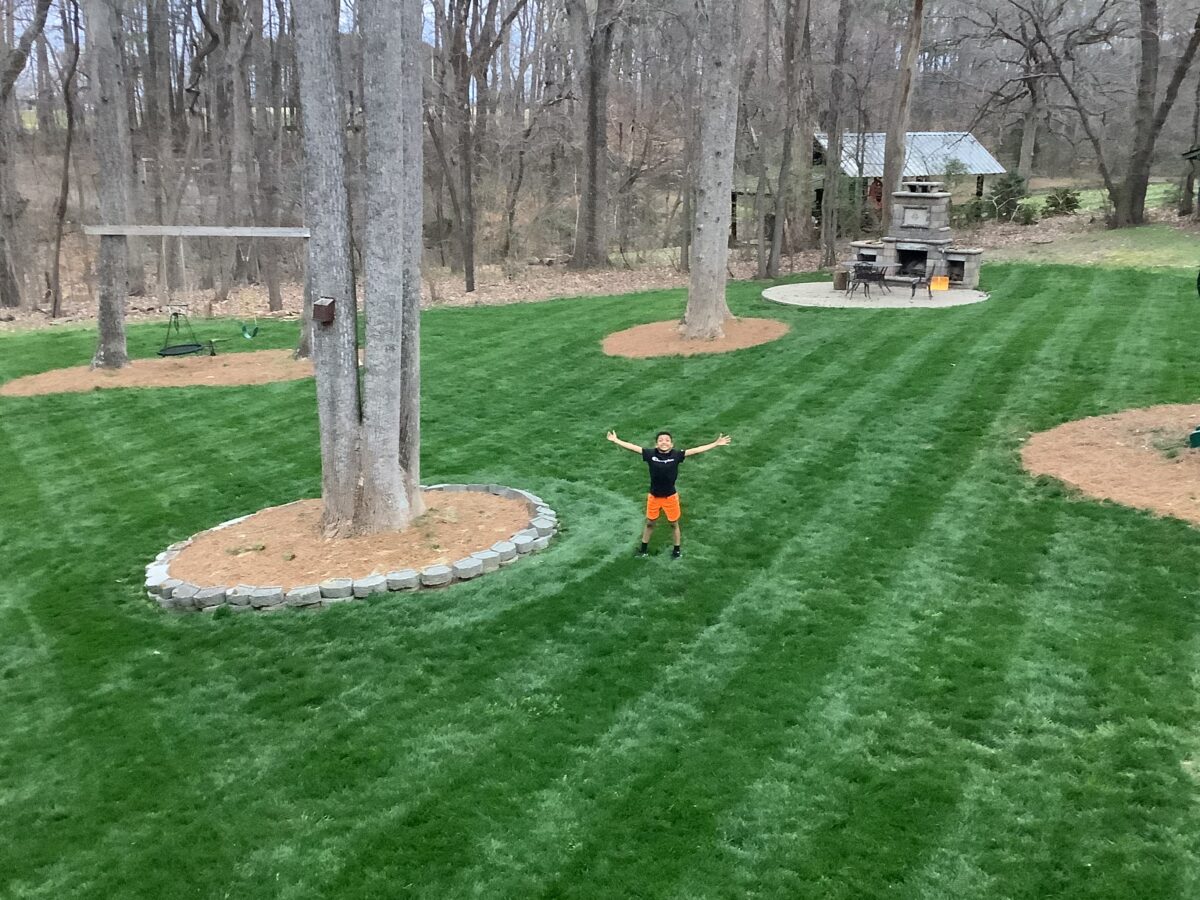 RESILIENCE™ II Turf Type Tall Fescue Blend - Image 9
