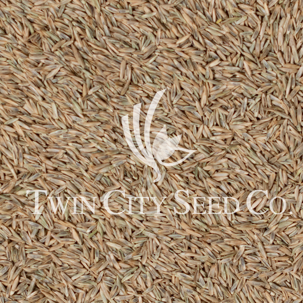 FIELDER'S CHOICE™ Elite Perennial Ryegrass Blend - Image 16