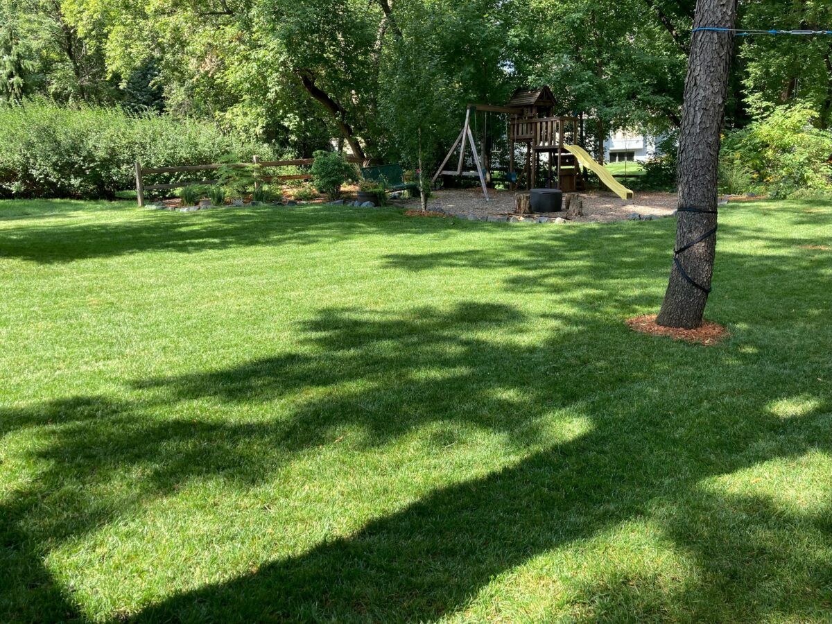 Tuff Turf Lawn Seed Mixture® - Image 7