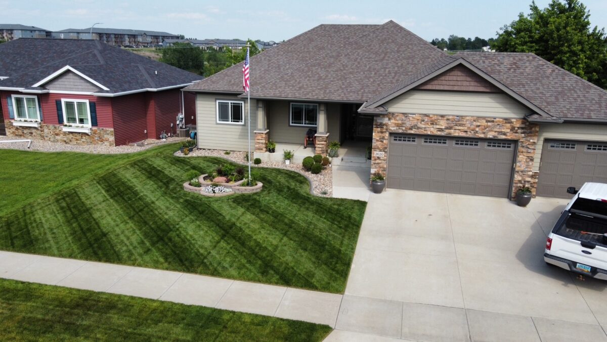 RESILIENCE™ II Turf Type Tall Fescue Blend - Image 2