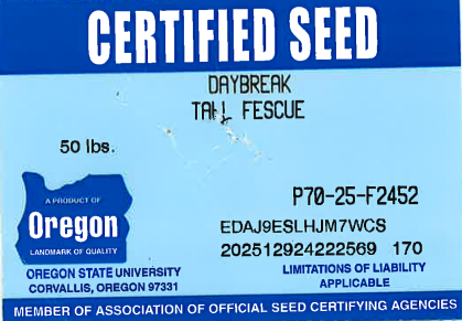 DAYBREAK Turf Type Tall Fescue - Image 2