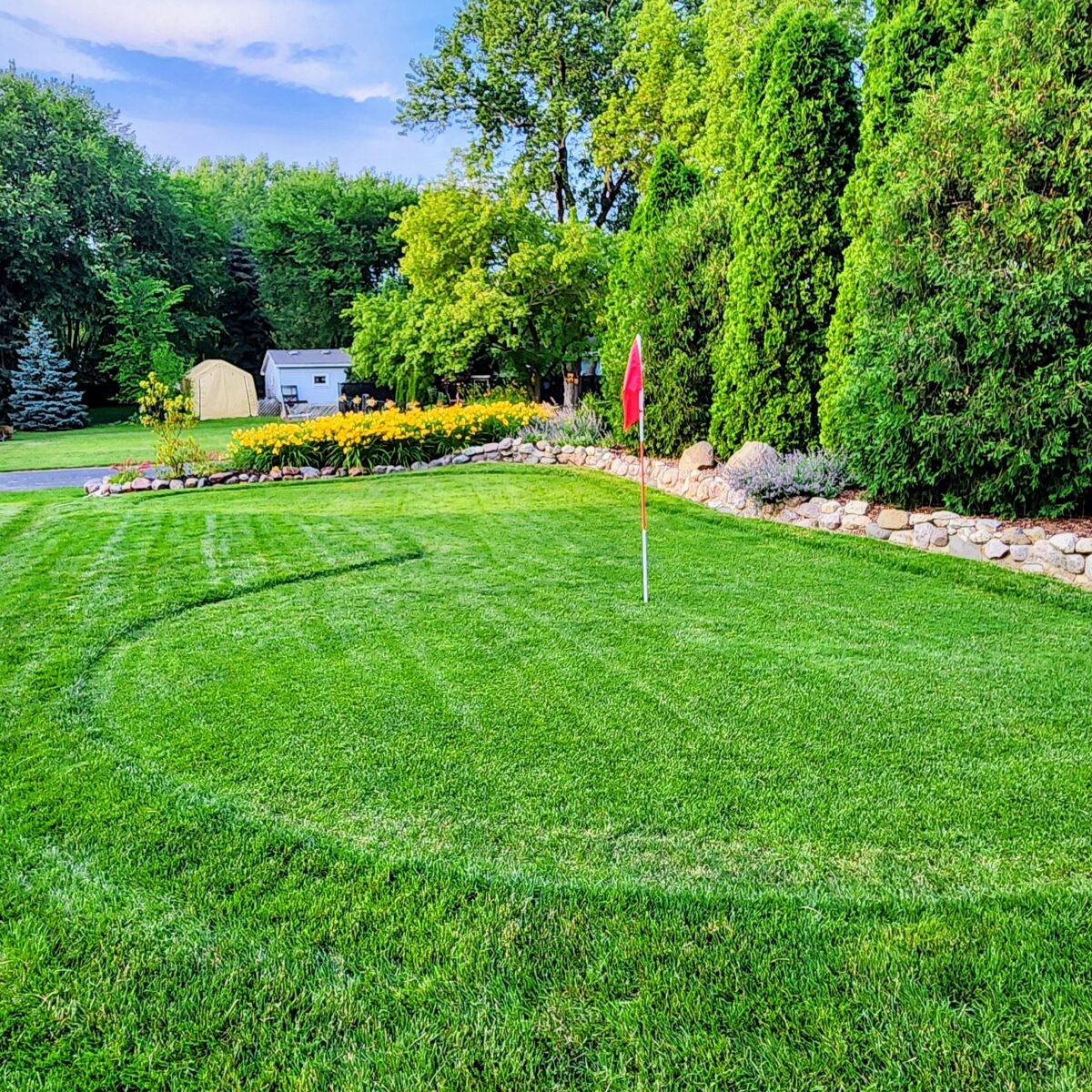 BLUE ENVY™ Elite Kentucky Bluegrass Blend - Image 3