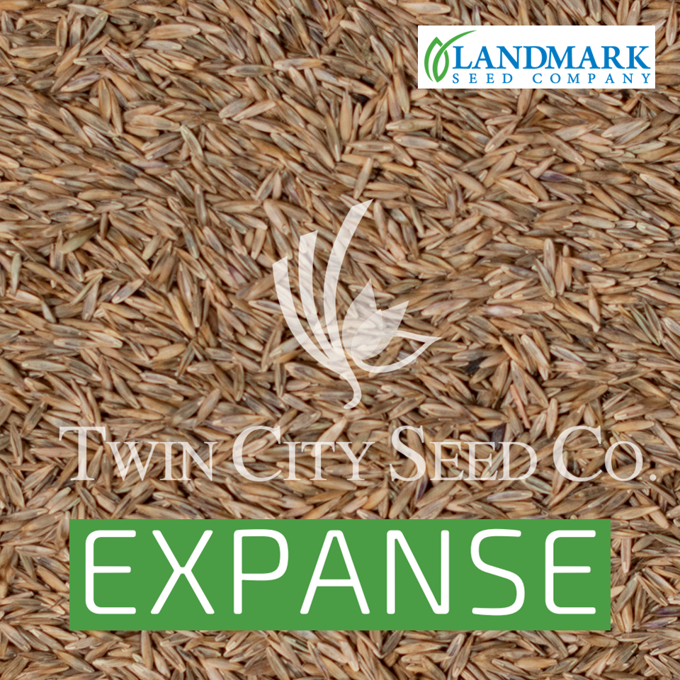 EXPANSE Turf Type Tall Fescue