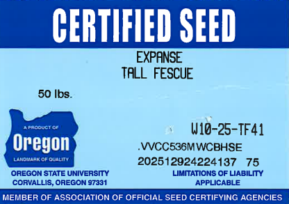 EXPANSE Turf Type Tall Fescue - Image 2