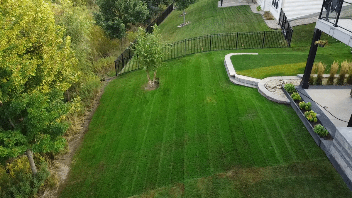 FIELDER'S CHOICE™ Elite Perennial Ryegrass Blend - Image 14