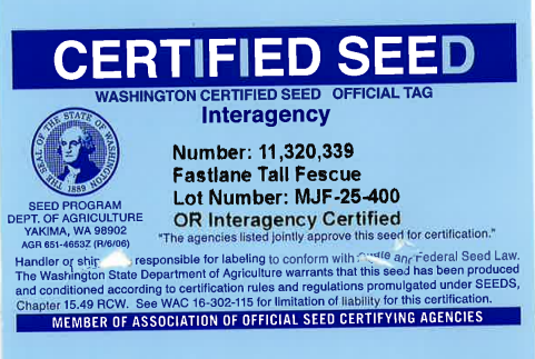 FASTLANE Turf Type Tall Fescue - Image 2