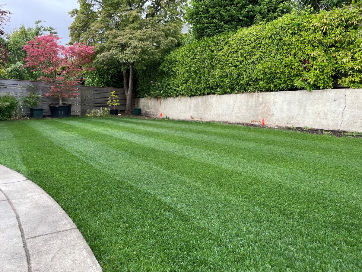 FIELDER'S CHOICE™ Elite Perennial Ryegrass Blend - Image 3