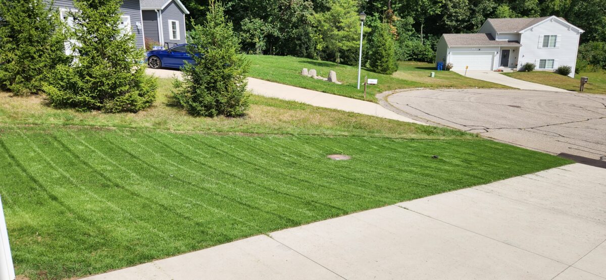 FIELDER'S CHOICE™ Elite Perennial Ryegrass Blend - Image 7
