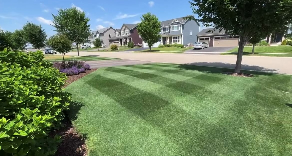 OBSIDIAN Perennial Ryegrass Blend - Image 3
