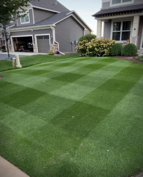 OBSIDIAN Perennial Ryegrass Blend - Image 5