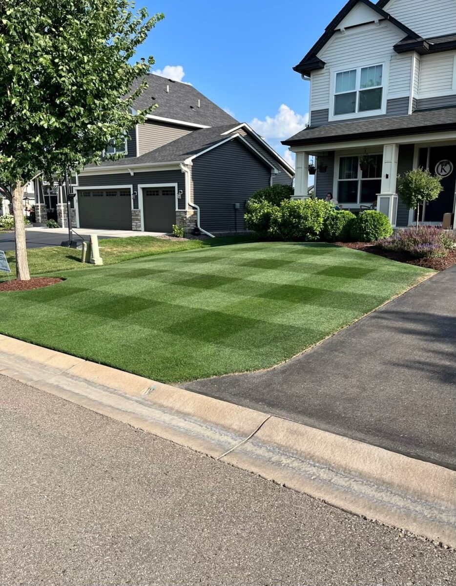 OBSIDIAN Perennial Ryegrass Blend - Image 2