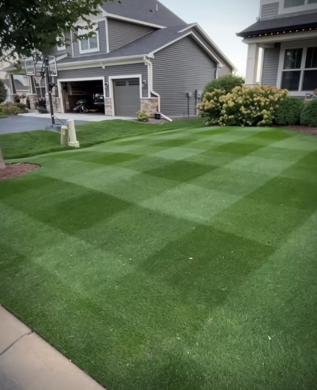 OBSIDIAN Perennial Ryegrass Blend - Image 6
