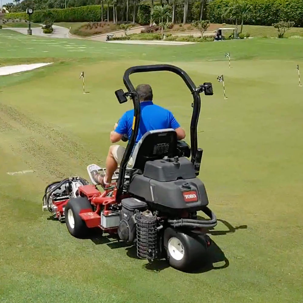 Maredo GT190 Fraze-Groomer - Image 2
