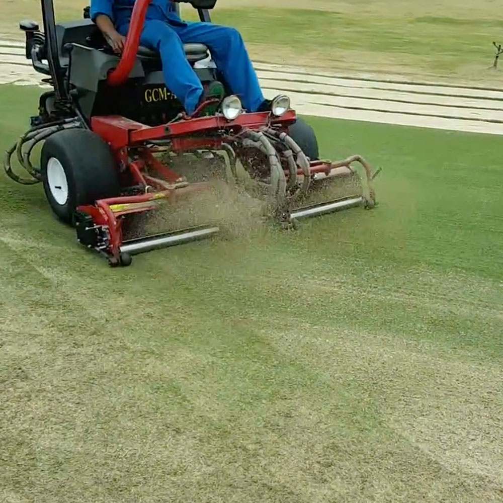 Maredo GT190 Fraze-Groomer - Image 4