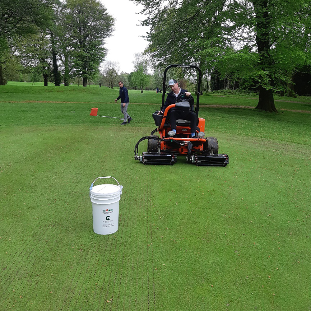 Maredo GT410 VibeSpike-SeederF - Image 2