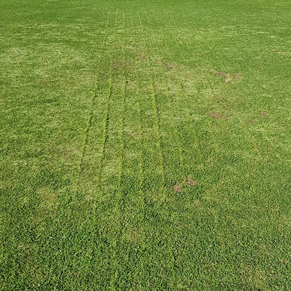 Maredo GT410 VibeSpike-SeederF - Image 11