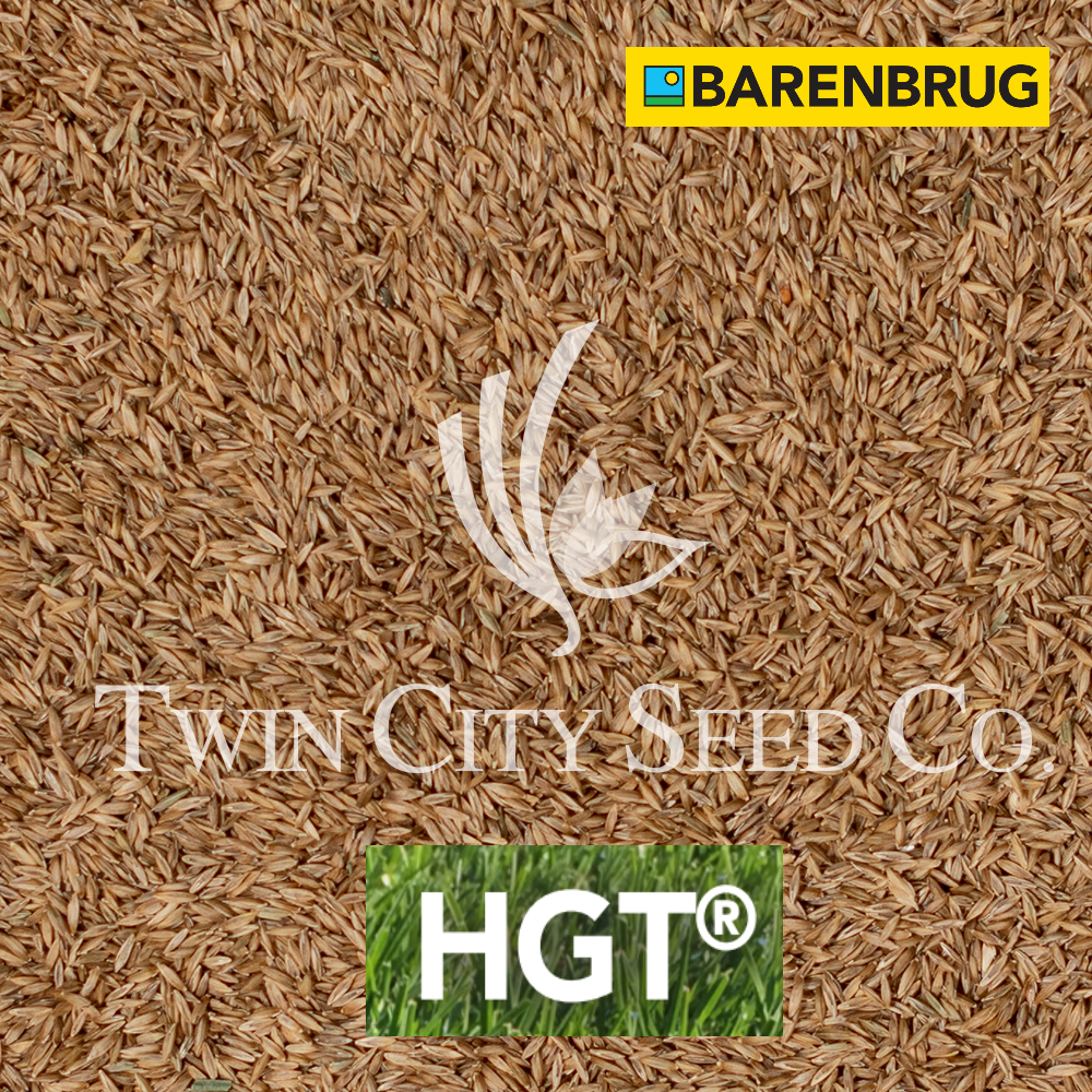 TURF BLUE HGT Kentucky Bluegrass Blend