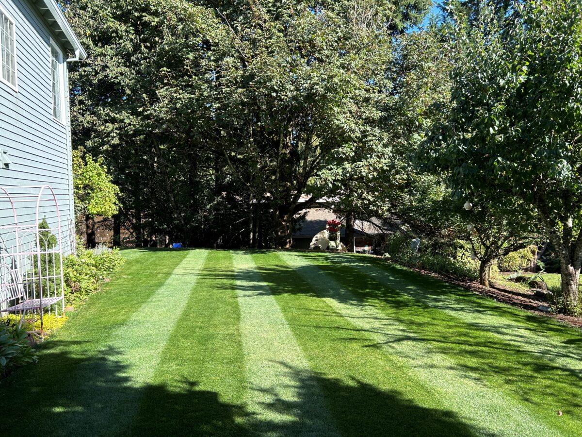FIELDER'S CHOICE™ Elite Perennial Ryegrass Blend - Image 13