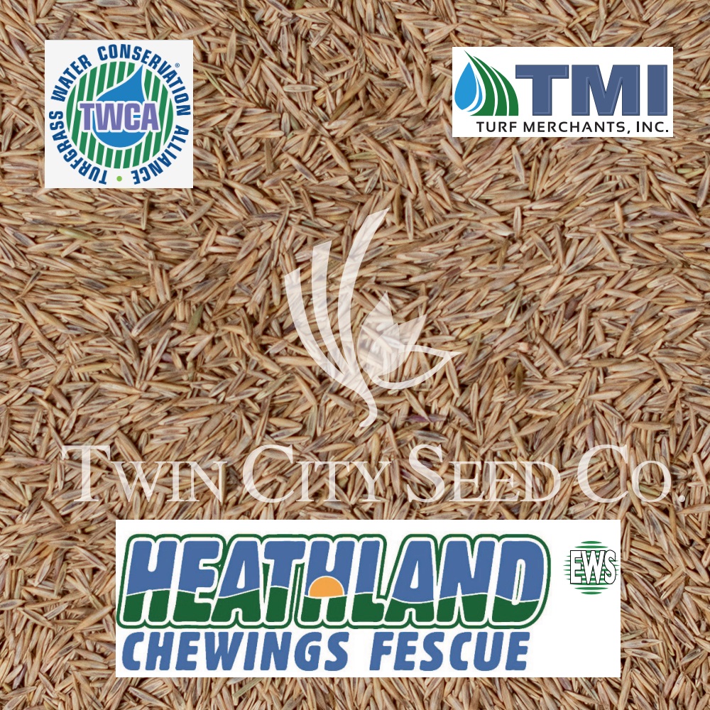 HEATHLAND EWS Chewings Fescue