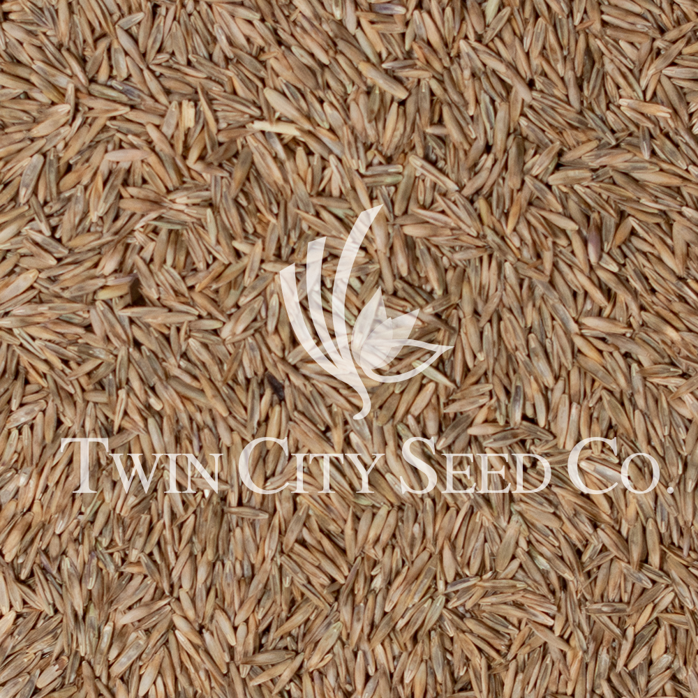 Horse Pasture Mix