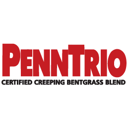 PennTrio Creeping Bentgrass Blend