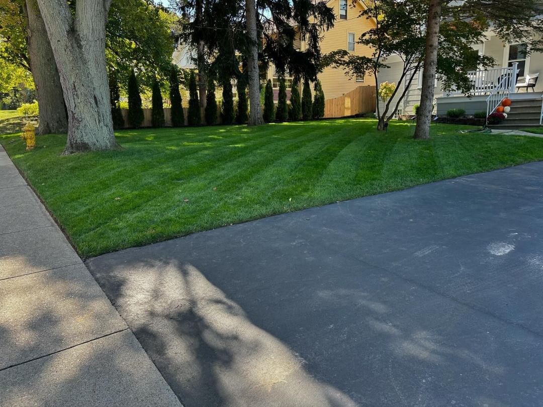 Shady Lawn Seed Mixture - Image 2