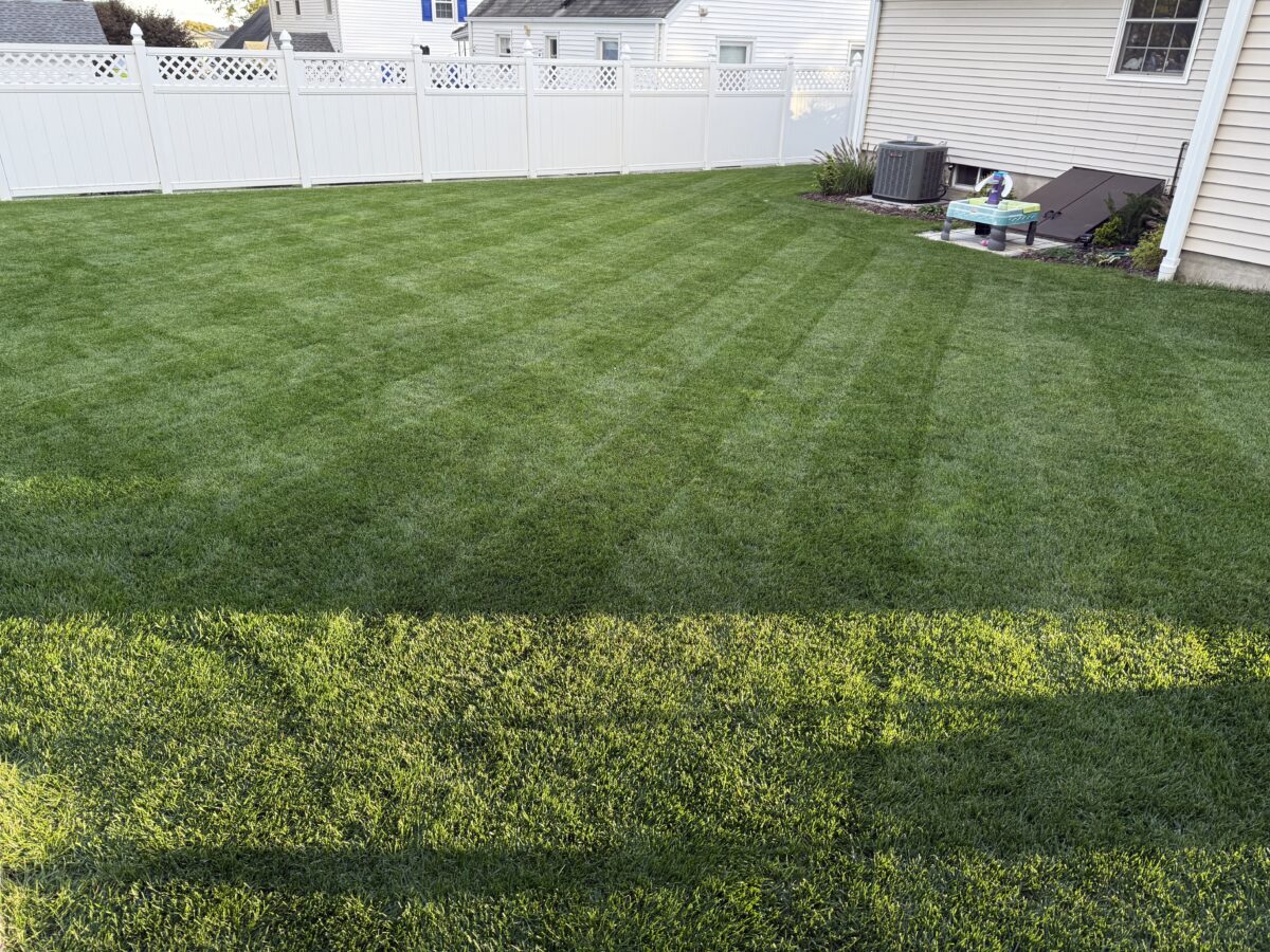 TOTAL ECLIPSE™ Shade Tolerant Kentucky Bluegrass Blend - Image 10
