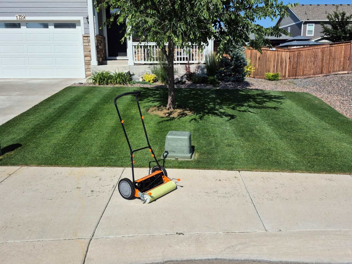 OBSIDIAN Perennial Ryegrass Blend - Image 12