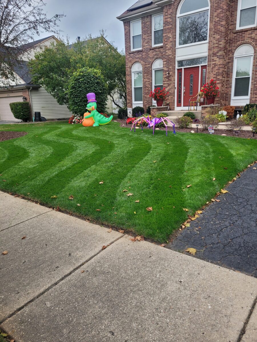 OBSIDIAN Perennial Ryegrass Blend - Image 10