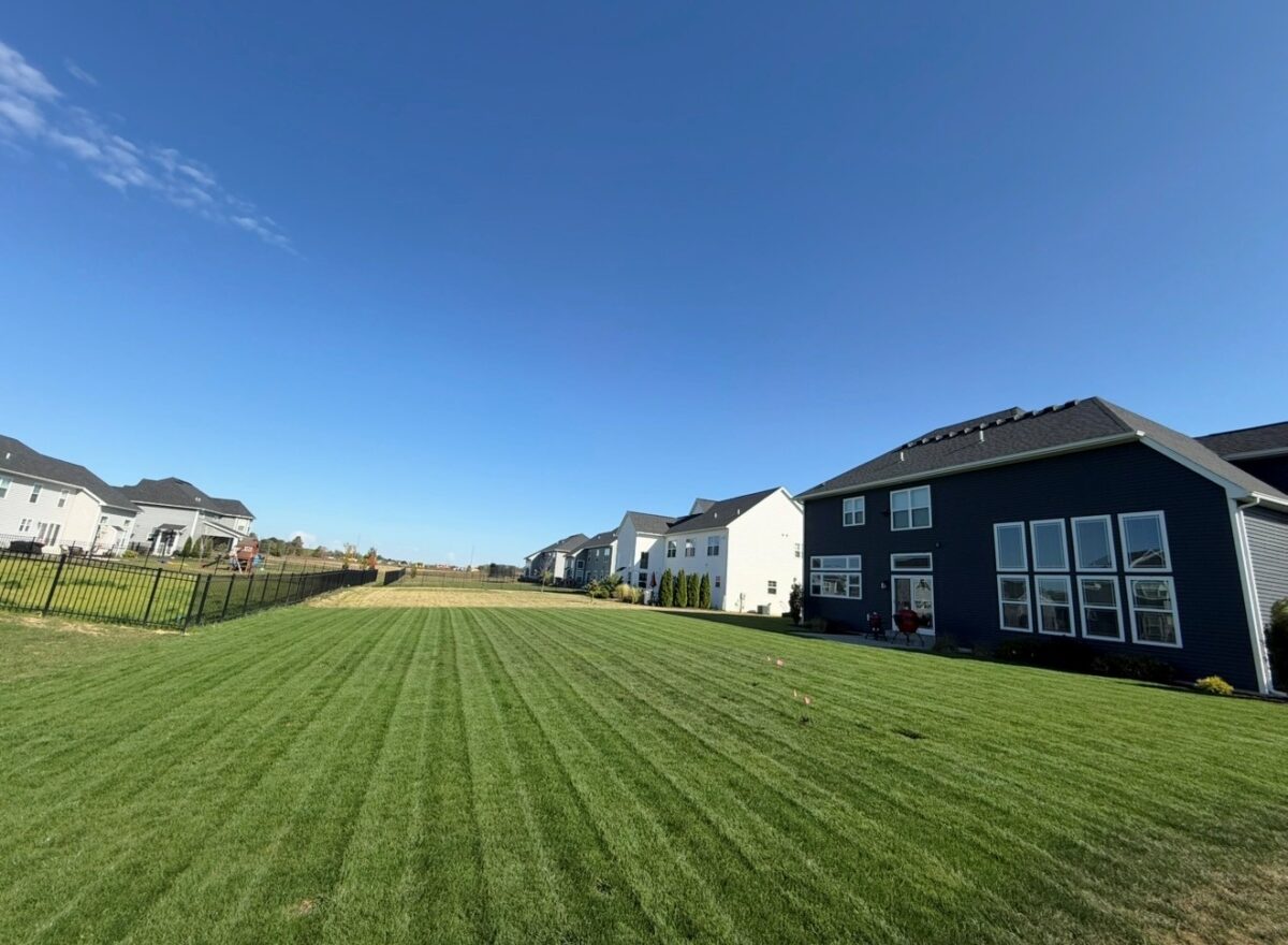 BLUE ENVY™ Elite Kentucky Bluegrass Blend - Image 18