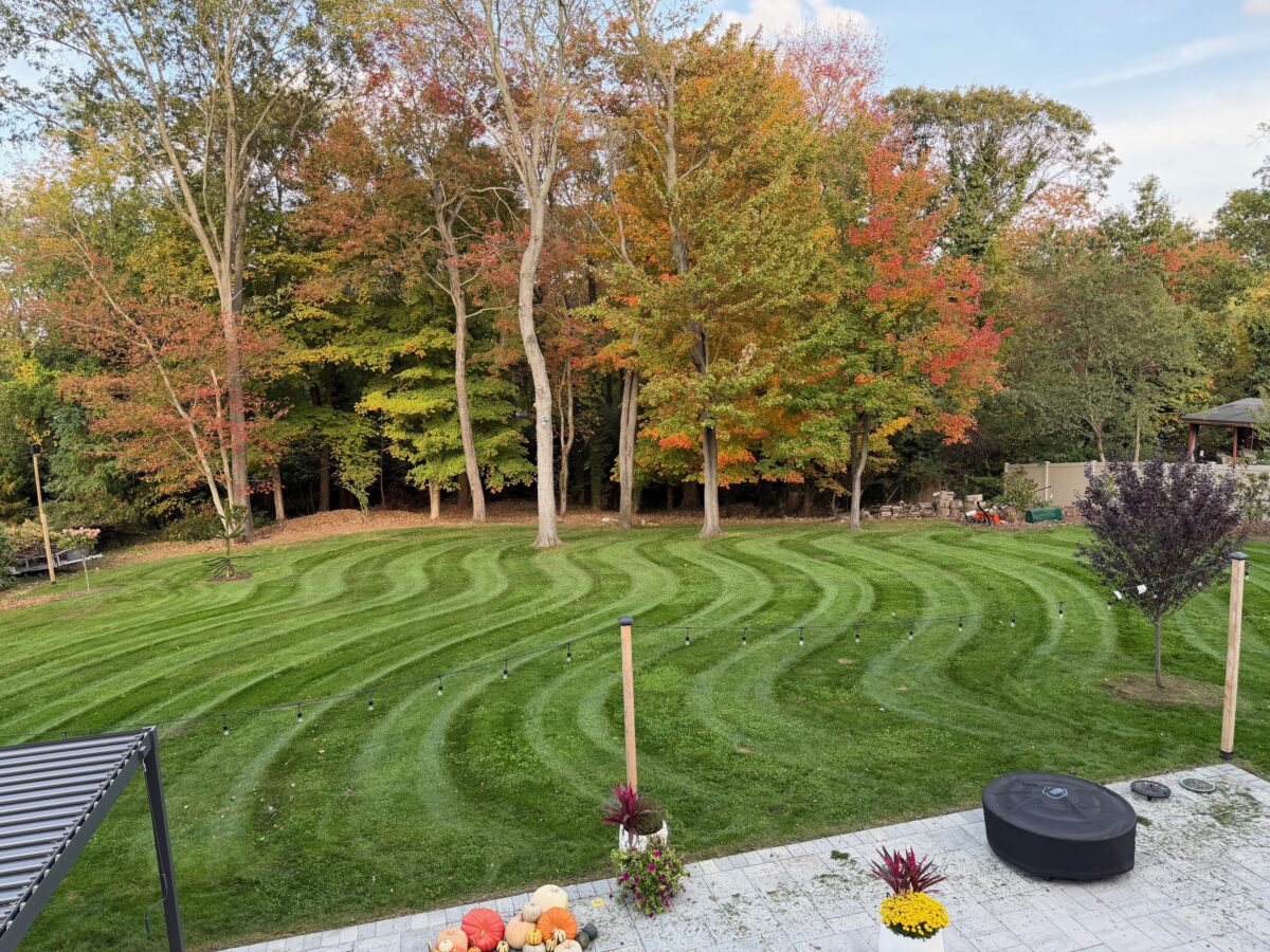 BLUE RESILIENCE Tall Fescue & Kentucky Bluegrass Mixture - Image 24