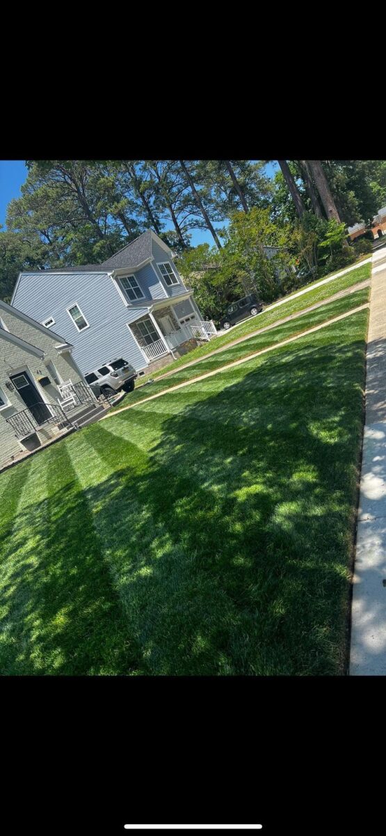 Tuff Turf Lawn Seed Mixture® - Image 11