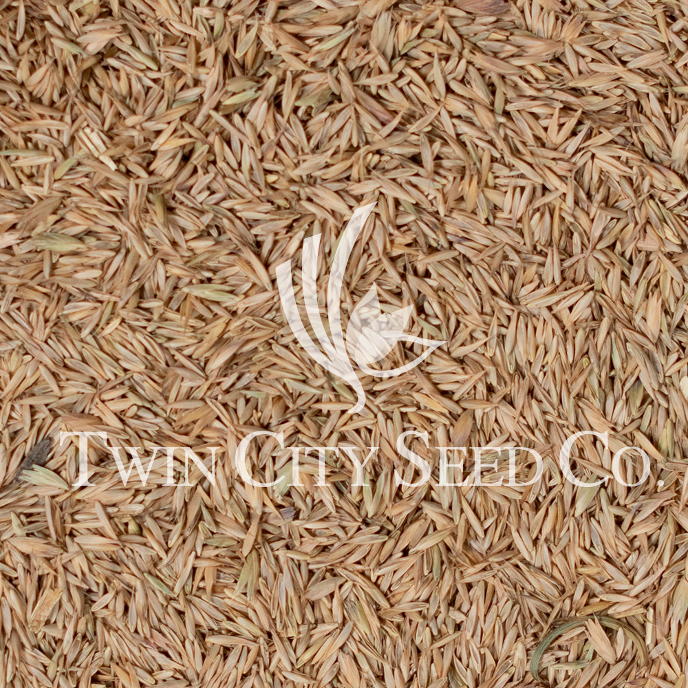 Early VNS Orchardgrass
